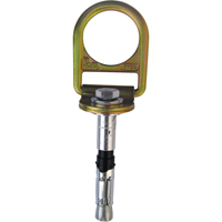 PRO Concrete D-ring Anchor with Bolt, Concrete/D-Ring, Permanent Use Planification Entrepots Molloy
