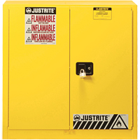 Armoire de s&eacute;curit&eacute; pour produits inflammables Ex Sure-Grip, 30 gal., 2 Porte(s), 36" La x 35" h x 24" p Planification Entrepots Molloy