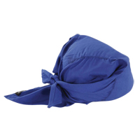 Foulards de refroidissement en triangle Chill-Its 6710, Bleu Planification Entrepots Molloy