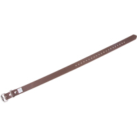 Leg Straps Planification Entrepots Molloy