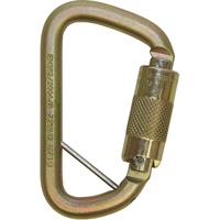 Rollgliss™ Technical Rescue Offset D Fall Arrest Carabiner, Steel, 3600 lbs Capacity SEH168 | Planification Entrepots Molloy