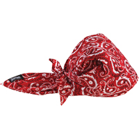 Bandeaux en triangle 6710CT de refroidissement en tissu de serviette Chill-Its, Rouge Planification Entrepots Molloy