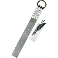 Ancrage simple pour toiture Miller, Anneau en D, Usage Permanent Planification Entrepots Molloy