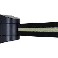 Unit&eacute;s murales Tensabarrier, Plastique, Fixation par vis, 15', Ruban Noir Planification Entrepots Molloy