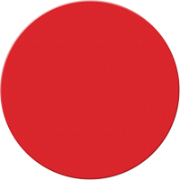 Armor Stripe Lean/5S Markers, Circle, 6" L x 6" W, Red, Plastic Planification Entrepots Molloy