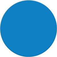Armor Stripe Lean/5S Markers, Circle, 6" L x 6" W, Blue, Plastic Planification Entrepots Molloy