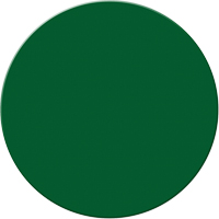 Armor Stripe Lean/5S Markers, Circle, 6" L x 6" W, Green, Plastic Planification Entrepots Molloy