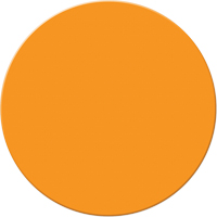 Armor Stripe Lean/5S Markers, Circle, 6" L x 6" W, Orange, Plastic Planification Entrepots Molloy