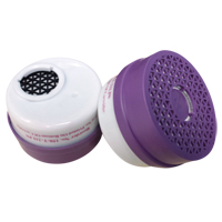 Cartouche pour respirateur, Combinaison cartouche et filtre contre les particules pour gaz/vapeurs, Gaz acide/Gaz de chlore/Filtre P100 Planification Entrepots Molloy