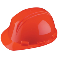 North&reg; Mont-Blanc Hardhat, Meets CSA Type 2, Ratchet Suspension, Non-Vented Planification Entrepots Molloy