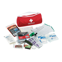 Trousse de premiers soins pour auto Dynamic, Dispositif m&eacute;dical Classe 1, Sac en nylon Planification Entrepots Molloy