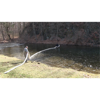 SpillBoa Bale, Oil Only, 25' L x 5" W, 28 gal. Absorbancy, 4 /Pack Planification Entrepots Molloy