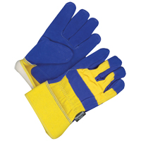 Fitter Gloves, One Size, Grain Cowhide Palm, Thinsulate Inner Lining Planification Entrepots Molloy