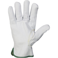 Gants r&eacute;sistant &agrave; la coupure et &agrave; l'arc &eacute;lectrique Endura, T-petit, 10" lo, 36 cal/cm², Niveau 3, NFPA 70E Planification Entrepots Molloy
