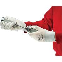 PX140 Coated Gloves, 6/X-Small, Polyurethane Coating, 15 Gauge, Nylon Shell Planification Entrepots Molloy