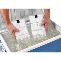 Chill-Its&reg; 6250 Phase Change Cooling Vest Packs Planification Entrepots Molloy