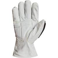 Gants r&eacute;sistant &agrave; la coupe et aux chocs Endura 378GKGVBE, Petit, Paume en Ch&egrave;vre, Poignet Conducteur Planification Entrepots Molloy