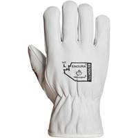 Gants de conducteur doubl&eacute;s pour l'hiver Endura, T-Grand, Paume en Cuir fleur de ch&egrave;vre, Thinsulate Planification Entrepots Molloy