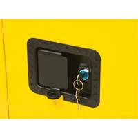 Armoire pour produits inflammables, 12 gal., 1 Porte(s), 23" La x 35" h x 18" p Planification Entrepots Molloy