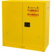 Armoire pour produits inflammables, 30 gal., 2 Porte(s), 43" La x 44" h x 18" p Planification Entrepots Molloy