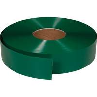 ArmorStripe&reg; Ultra Durable Floor Tape, 2" x 100', PVC, Green Planification Entrepots Molloy