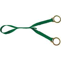 Extension avec anneau en D double, Anneau en D, Usage Temporaire Planification Entrepots Molloy