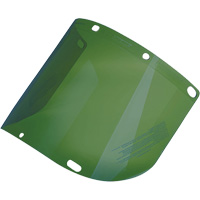 &eacute;cran facial form&eacute; Dynamic, Polycarbonate, Teinte Vert Planification Entrepots Molloy