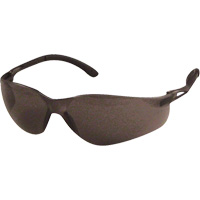 Lunettes de s&eacute;curit&eacute; Sen-Tec, Lentille Gris, Anti-&eacute;gratignures, R&eacute;pond ou surpasse la norme CSA Z94.3 Planification Entrepots Molloy