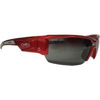 Hartley Safety Glasses, Grey Lens, Polarized, Meets/Exceeds CSA Z94.3 Planification Entrepots Molloy