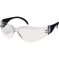 CeeTec Safety Glasses, Clear Lens, Anti-Fog/Anti-Scratch, Meets/Exceeds CSA Z94.3 Planification Entrepots Molloy