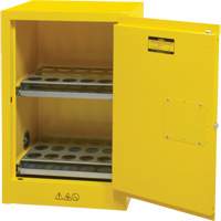 Armoire de rangement pour a&eacute;rosols inflammables, 12 gal., 1 Porte(s), 23" La x 35" h x 18" p Planification Entrepots Molloy