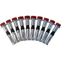 Replacement Bolt Kit for Concrete D-Ring Anchors, Bolt-On, Permanent/Temporary Use Planification Entrepots Molloy