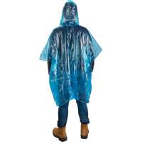 Disposable Poncho Planification Entrepots Molloy