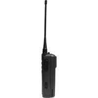 Radio bidirectionnelle portable sans affichage de la série CP100d SHC309 | Planification Entrepots Molloy