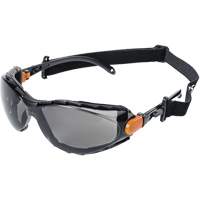 XPS502 Sealed Safety Glasses, Smoke Lens, Anti-Fog/Anti-Scratch Planification Entrepots Molloy