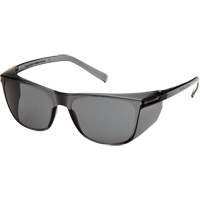 Lunettes de s&eacute;curit&eacute; Legacy, Lentille Gris, ANSI Z87+/R&eacute;pond ou surpasse la norme CSA Z94.3 Planification Entrepots Molloy