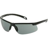 Lunettes de s&eacute;curit&eacute; Ever-Lite, Lentille Gris, Antibu&eacute;e, ANSI Z87+/R&eacute;pond ou surpasse la norme CSA Z94.3 Planification Entrepots Molloy