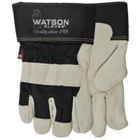 Big Dawg Gloves, Small, Grain Cowhide Palm, Thinsulate Inner Lining Planification Entrepots Molloy