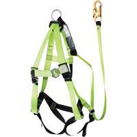 FBH-10000A6440-4 4' Class A Harness & Lanyard with 350 lbs. Capacity, Harness/Lanyard Combo Planification Entrepots Molloy