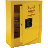 Armoire de s&eacute;curit&eacute; miniature pour produits inflammables, 2 gal., 1 Porte(s), 17" La x 22" h x 8" p Planification Entrepots Molloy