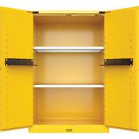 Armoire de s&eacute;curit&eacute; pour produits inflammables Utili-Guard+, 45 gal., 2 Porte(s), 43" La x 65" h x 22" p Planification Entrepots Molloy