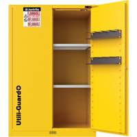 Armoire de s&eacute;curit&eacute; pour produits inflammables Utili-Guard+, 45 gal., 2 Porte(s), 43" La x 65" h x 22" p Planification Entrepots Molloy