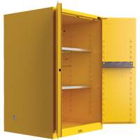 Armoire de s&eacute;curit&eacute; pour produits inflammables Utili-Guard+, 45 gal., 2 Porte(s), 43" La x 65" h x 22" p Planification Entrepots Molloy
