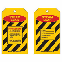 Étiquettes d'inspection «Steam Leak», Polyester, 4" la x 7" h, Anglais SX419 | Planification Entrepots Molloy