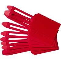 Blank Plastic Lock-On Tags, Plastic, 3-1/4" W x 5-4/5" H, Blank Planification Entrepots Molloy