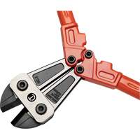 High Leverage Compound Bolt Cutter, 36" L, Center Cut Planification Entrepots Molloy