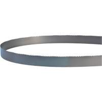 Welded Bandsaw Blade, Bi-Metal, 14' L x 1" W x 4 - 6 TPI Planification Entrepots Molloy