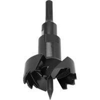 Self-Feed Bit, 4-1/8" Planification Entrepots Molloy