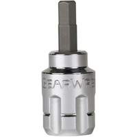 Pass-Thru SAE/Metric Bit Socket Set, Hex/Phillips/Slot/Torx&reg;, 1/4"/3/8" Drive, 39 Pcs Planification Entrepots Molloy