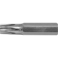 Stubby Multi-Bit Screwdriver -Replacement Bit, Torx, 15, 1/4" Drive Planification Entrepots Molloy